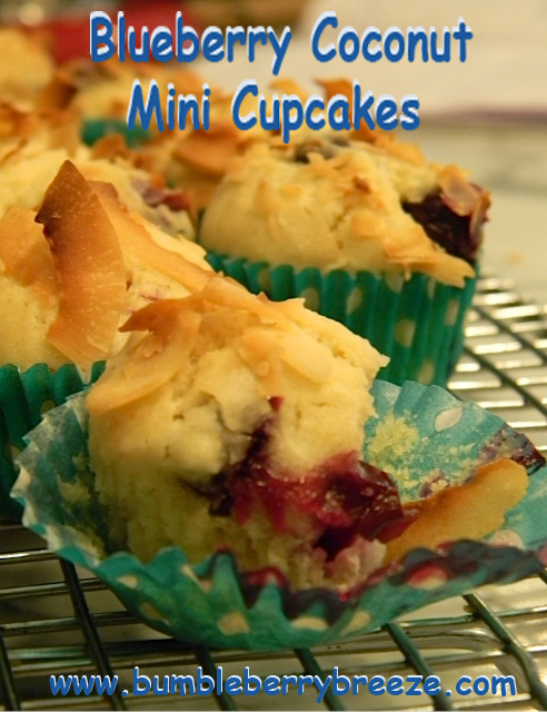 Blueberry Coconut mini cupcakes