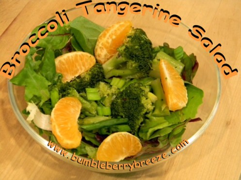 Broccoli Tangerine Salad